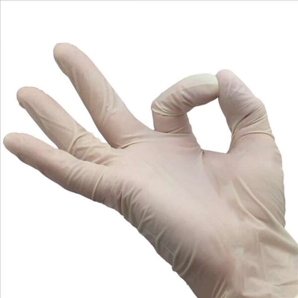 Disposable latex gloves powdered and powder free - Image 2